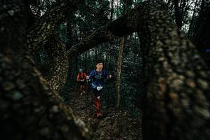 BIB: 
                            <button type="button" onclick="openModal(25677082)" class="btn btn-primary btn-sm float-right btn-popup" data-toggle="modal" data-target=".modal-high-quality">
                        <i class="fas fa-shopping-cart"></i> Add to Cart
                    </button>
                                            <button type="button" onclick="isThisMe(25677082, true)" class="btn btn-success btn-sm float-right btn-popup btn-isme hidden" data-toggle="tooltip" data-placement="bottom" title="นี่คือรูปของคุณใช่ไหม คลิกที่นี่เพื่อเอาเข้าอัลบั้ม">
                        <i class="fas fa-plus"></i> Add to album
                    </button>
                    <button type="button" onclick="isThisMe(25677082, false)" class="btn btn-warning btn-sm float-right btn-popup btn-isnotme hidden">
                        <i class="fas fa-ban"></i> Remove from album
                    </button>